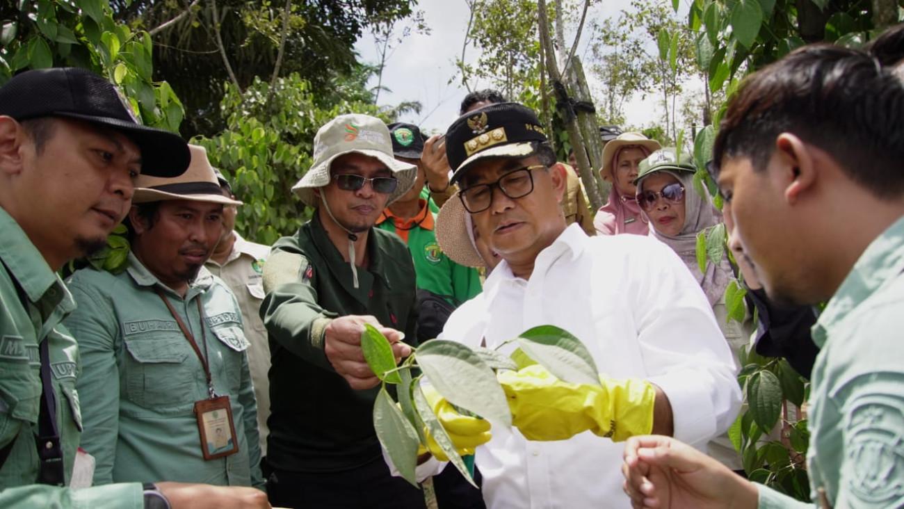 Penjabat (Pj) Gubernur Kaltim Apresiasi Kinerja Disbun