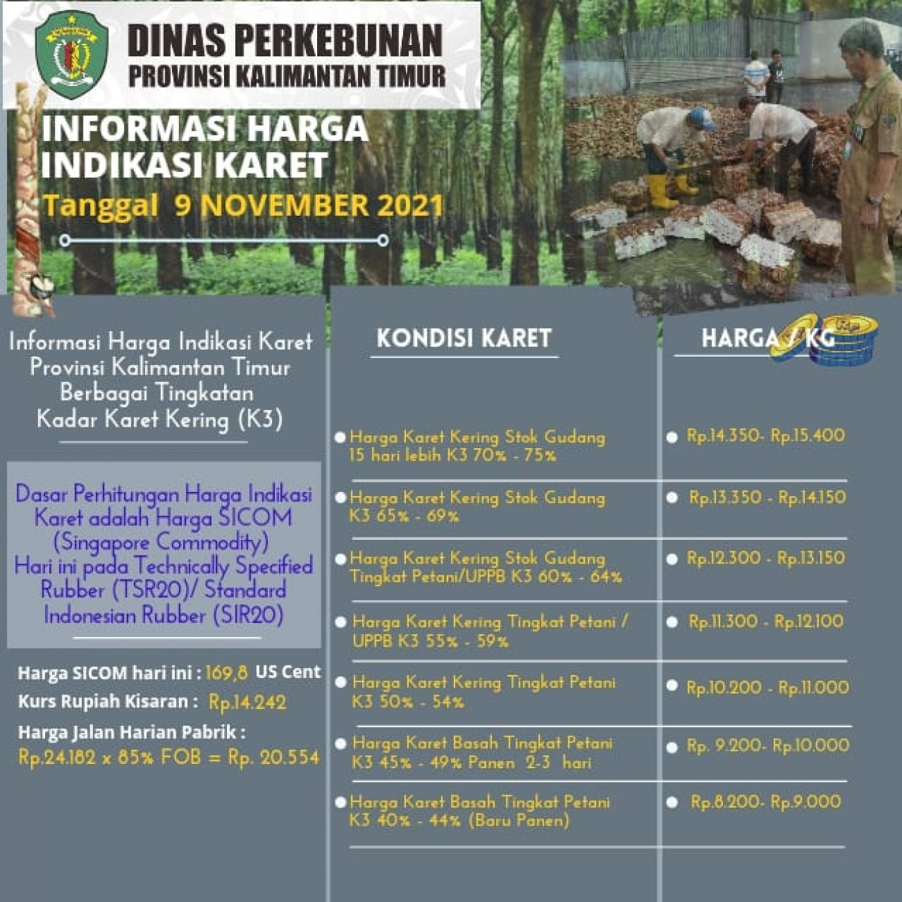 Informasi Harga Indikasi Karet Per 9 November 2021