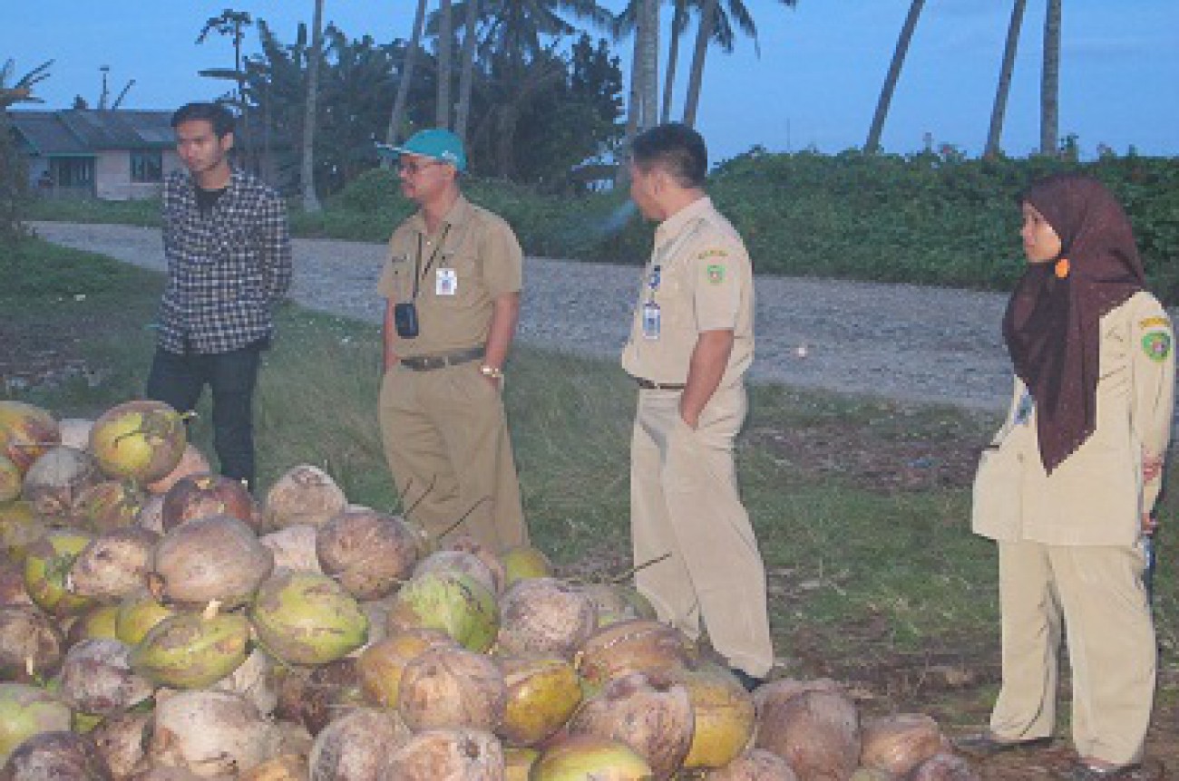 Galakkan Lagi Kebun Kelapa di PPU