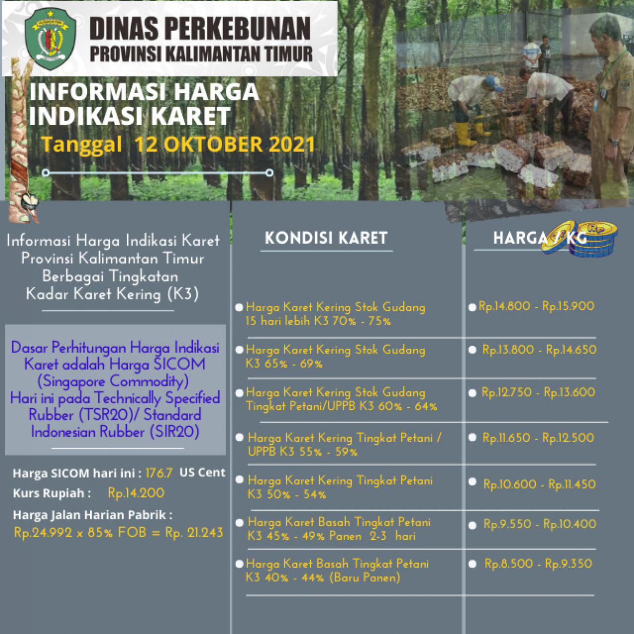 Informasi Harga Indikasi Karet Per 12 Oktober  2021