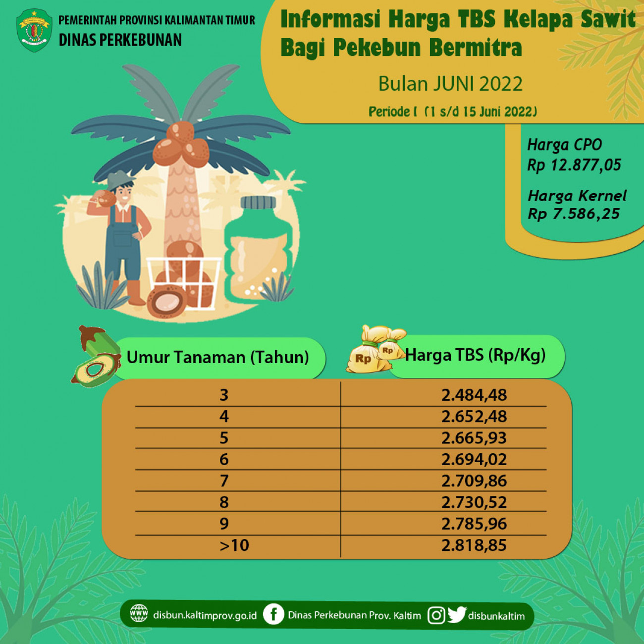 Informasi Harga TBS Kelapa Sawit Bagi Pekebun Bermitra Periode 1 - 15 Juni 2022