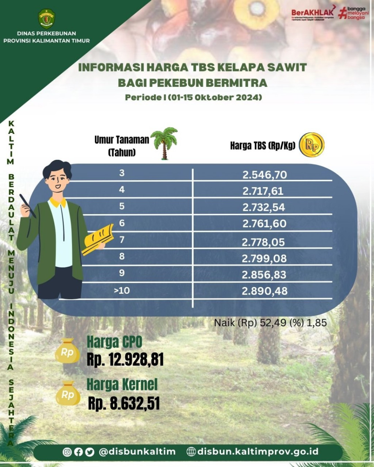 Informasi Harga TBS Kelapa Sawit bagi Pekebun Mitra Periode I Bulan Oktober 2024