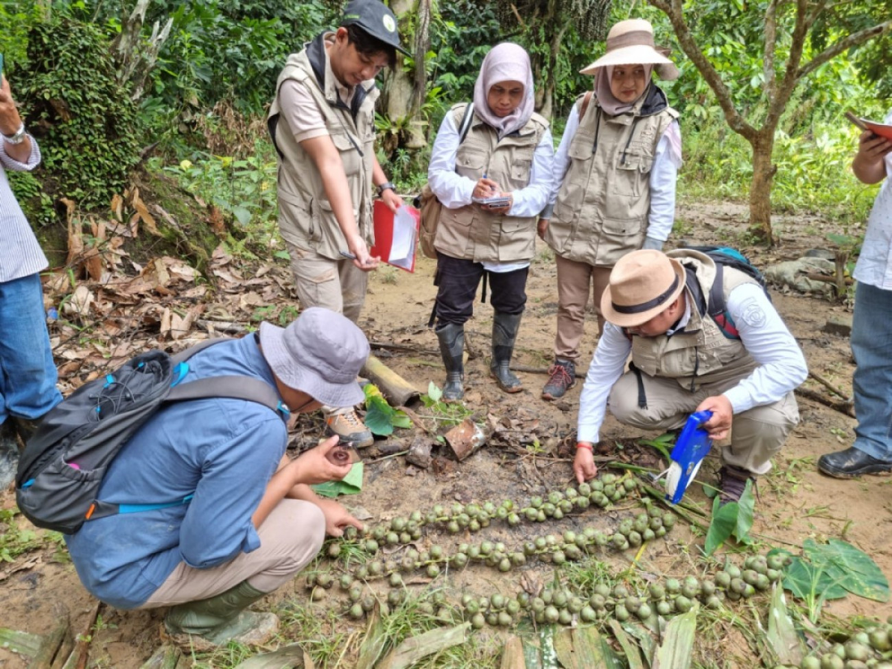 Kalimantan Timur Miliki Kebun Sumber Benih Aren Genjah