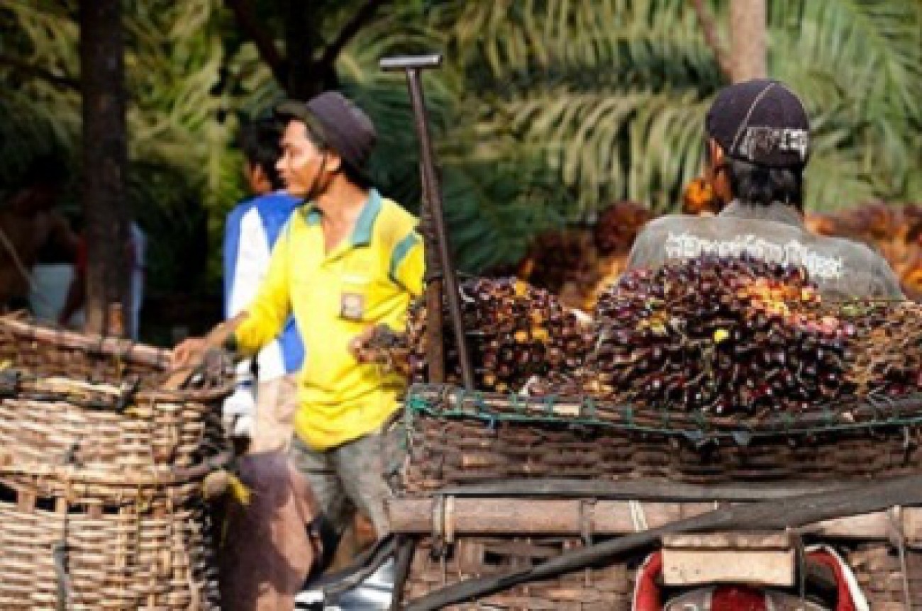 Agroindustri Mampu Sejahterakan Rakyat