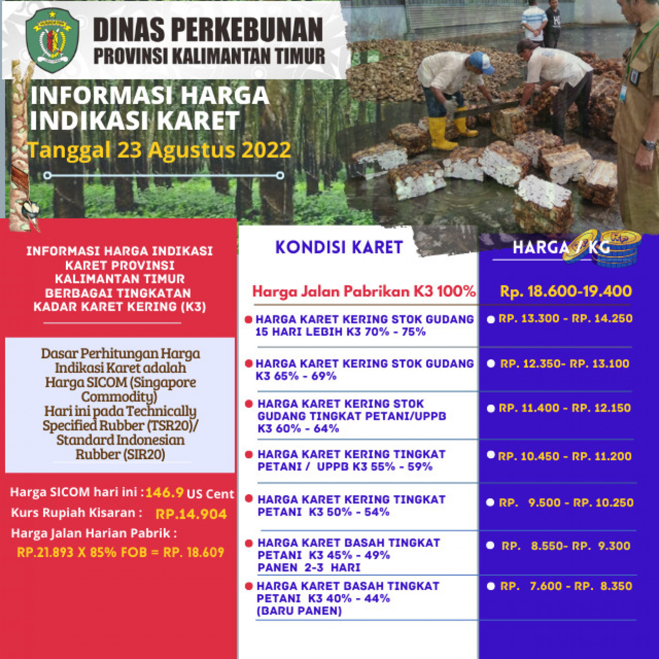 Informasi Harga Indikasi Karet Per 23 Agustus 2022