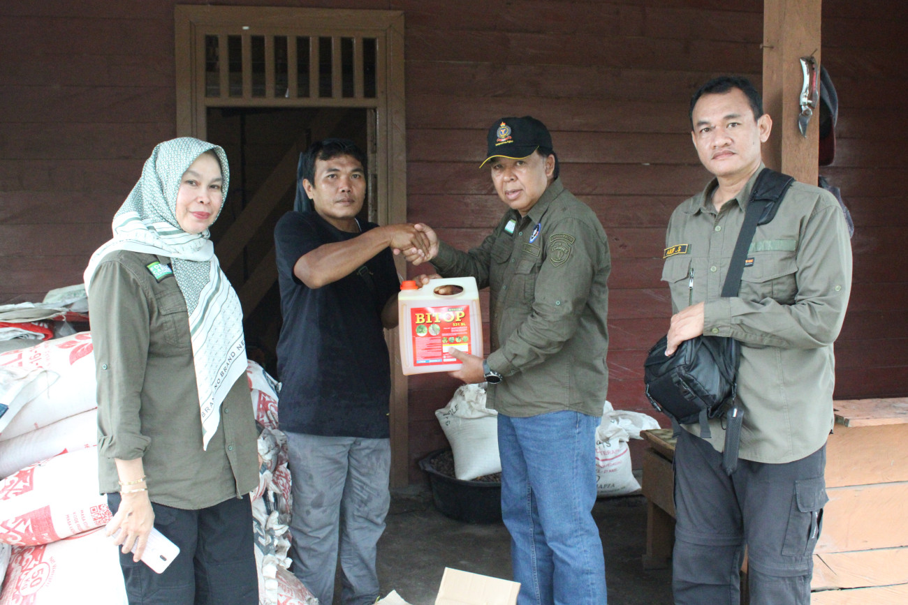 Dukung Komoditas Kakao, Disbun Kaltim Salurkan Bantuan Pertanian di Berau