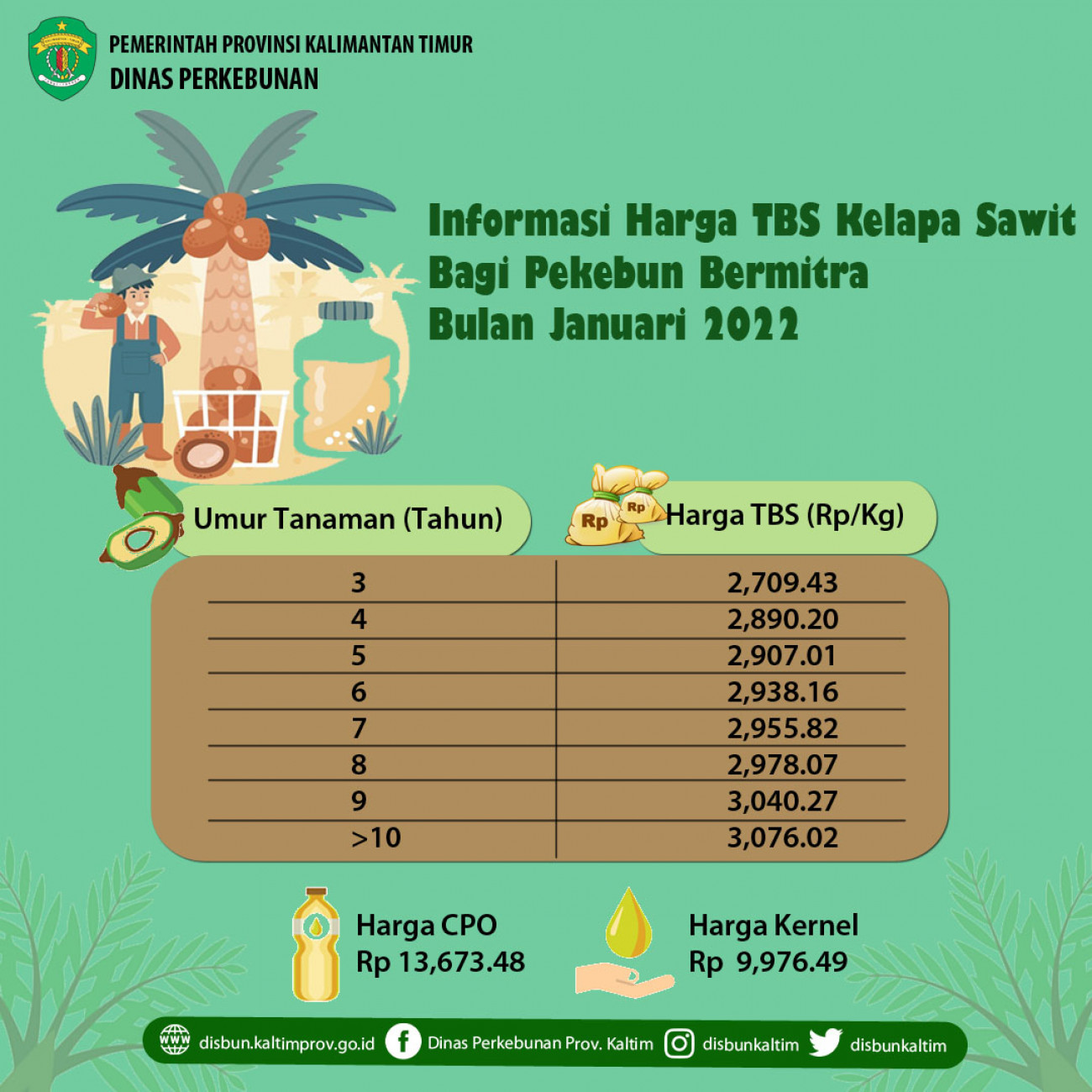 Informasi Harga TBS Kelapa Sawit Bagi Pekebun Bermitra Bulan Januari 2022