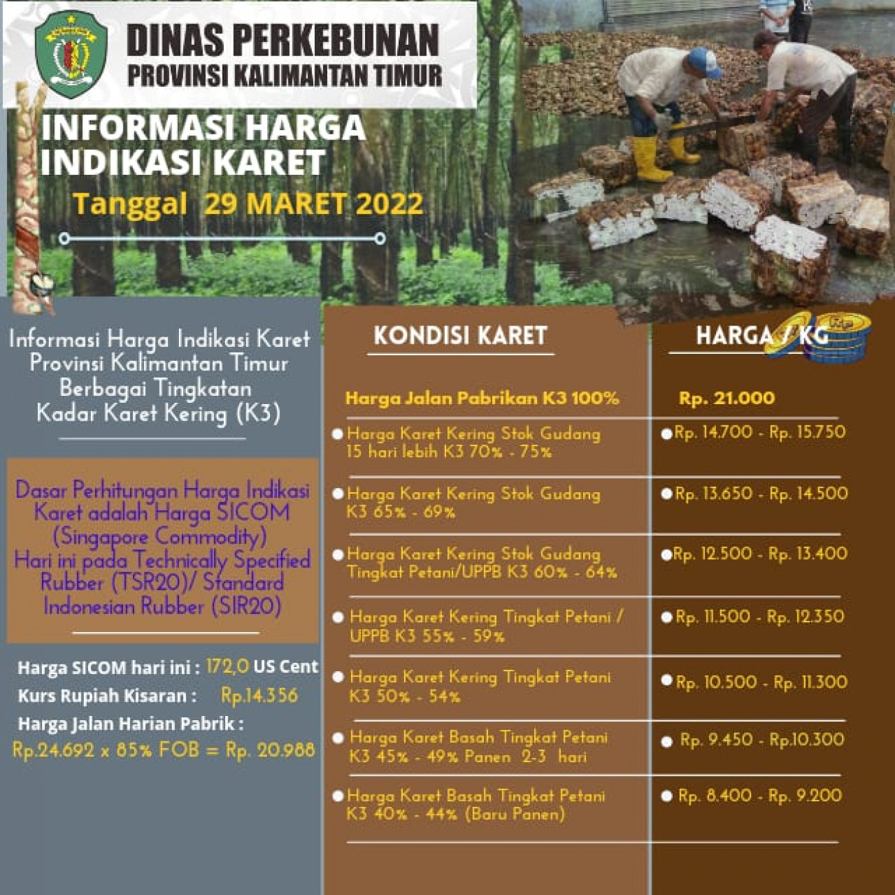 Informasi Harga Indikasi Karet Per 29 Maret 2022