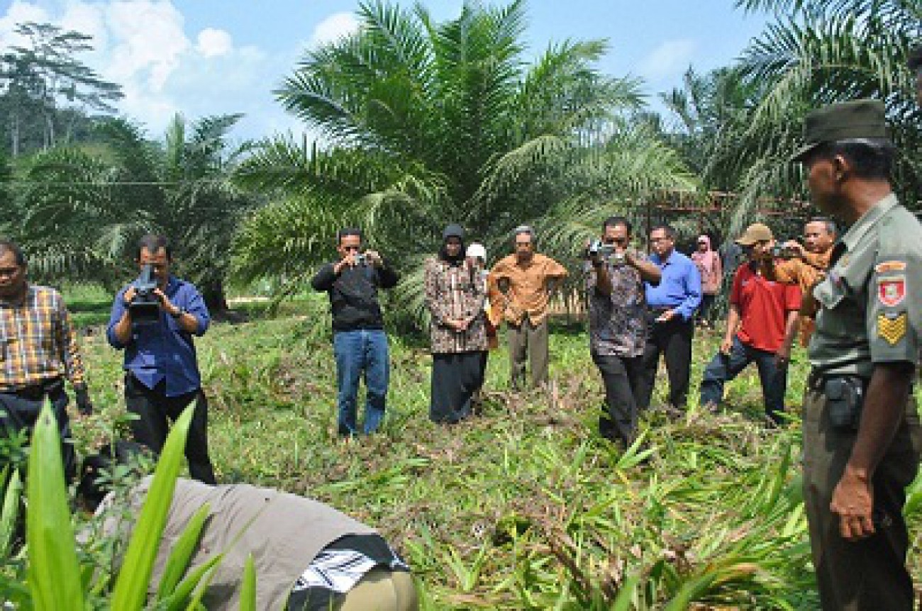 Petani Harus Kenali Bibit Palsu