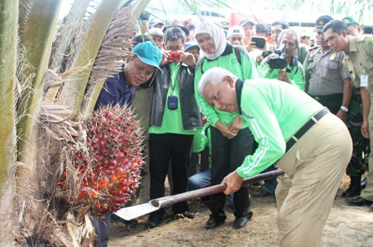 Jadikan Kutim Pusat Agroindustri 2020