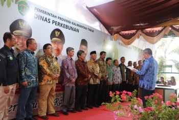 Forum Perkebunan Berkelanjutan Resmi Dilantik