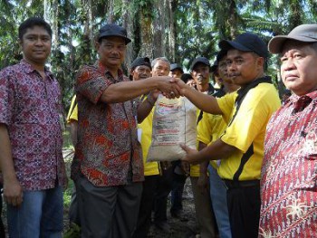 Petani Sawit Dilatih Tangani Serangan OPT