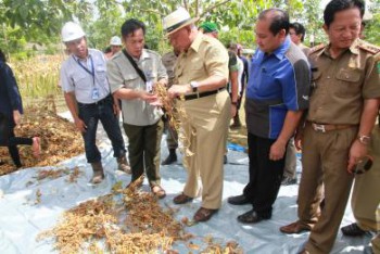 Petani Harus Mampu Manfaatkan Handphone