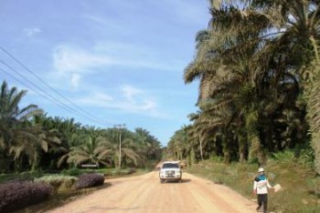 Usai Lebaran, Uji Coba Razia Angkutan Batubara dan Sawit 